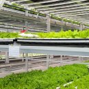 미래플러스팜 이미지