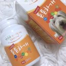 이루다컴퍼니 이미지