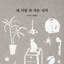 사치 이미지
