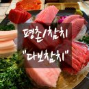 다보참치 이미지