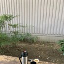 기회송림 화장실 이미지