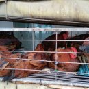 상하전통시장 이미지