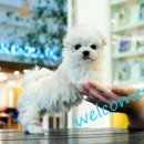 몽몽이하우스 인천연수점 이미지