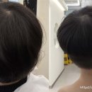 리안헤어시흥은계