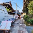 태리 | 경주 황리단길 분위기 좋은 양식 맛집 태리주택 내돈내산 솔직 후기