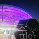 [부천호수식물원 수피아] 부천식물원 수피아 야간개장, 아바타 숲이 현실에?! 예약 필수 야경 명소