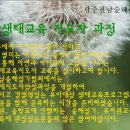 유아생태교육지도자과정 공지 -광주전남숲해설가협회 이미지