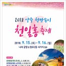 천일홍축제 이미지