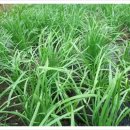 늘푸른건강마을 이미지