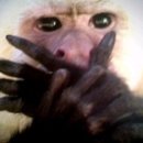 정담스시 이미지