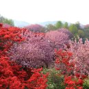 완산-23 이미지