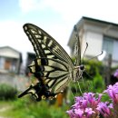 붕붕자동차정비공업사 이미지