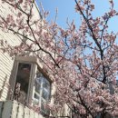 잠원도서관 이미지