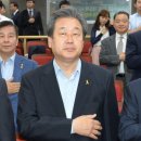 김무성 카카오 검색결과