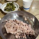 도라지식당 Daum카페