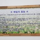 원주막국수 이미지