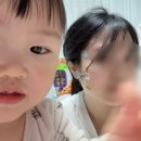 이레동물병원 | [2026] 3월의 끝