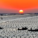 산동목장 이미지