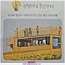 지도읍선도보건진료소 | 신안군 지도읍 선도 (25. 3. 21)