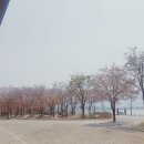 강정고령보 만남의광장 이미지