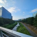 브로컬리헤어샵() 이미지