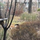 경기도 수원시 권선구 세지로12번길 25-29 (세류동) | [ 주간일기 ] 콩나물밥만 네끼 / 즐거운 오타쿠 생활 / 순둥이 용식이 26. 3. 23 ~ 26. 3. 29