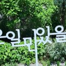 2만여평의 부천도당공원 백만송이장미원은 부천시8景중 제1경으로 156종의 장미,15만그루의 부천의 대표적인 장미명소로 백만송이축제진행중 이미지