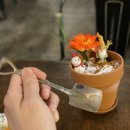 백설빙수와일곱난쟁이