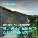 중부-현장-중부-320 | 필수 관광지 추천, 류큐 왕국 최대 목조 건축물 &#39;슈리 성&#39; 가는 방법 주차요금 운영시간 입장료 방문후기