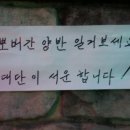 뽀바 이미지