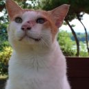 종원농장 이미지