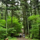 축령산 치유의 숲 안내센터 이미지