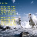 백마 Daum카페