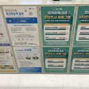 코끼리속내과의원 네이버블로그