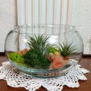 (원데이) 나만의 작은 숲, 테라리움 이미지