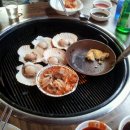 King조개 이미지