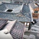 코리아탕 이미지