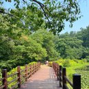 버스정류장 07-509 | 광릉 국립수목원 &amp; 광릉한옥집 - 유유자적 서울 근교(남양주 진접/포천) 데이트