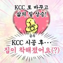 한국창호 | 공주 KCC창호 시공후기｜리모델링과 함께 진행한 창호교체 사례