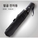 팔골 이미지
