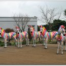 트릭아트뮤지엄 이미지