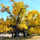 서원농장 이미지