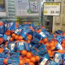 원플러스마트 이미지