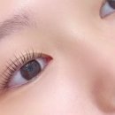 디어뷰티 - 원주시 | 디어뷰티