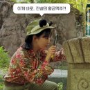 씨지 컴퍼니 이미지
