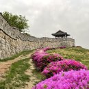 영산홍화장실 이미지