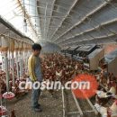 부남농장 이미지