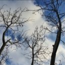 상송호두농원 이미지