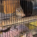 NR-40[성주산로]-하-30 | (24. 11월) 일상기록 / [IN 대천]