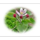 (주)신천지글로벌 이미지